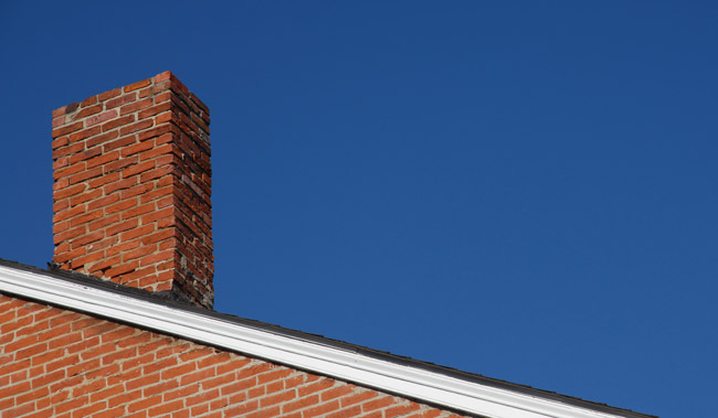 Chimney caps for animal control