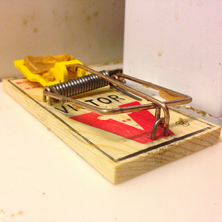 how to place mouse traps
